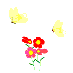 farfalle fiori.gif